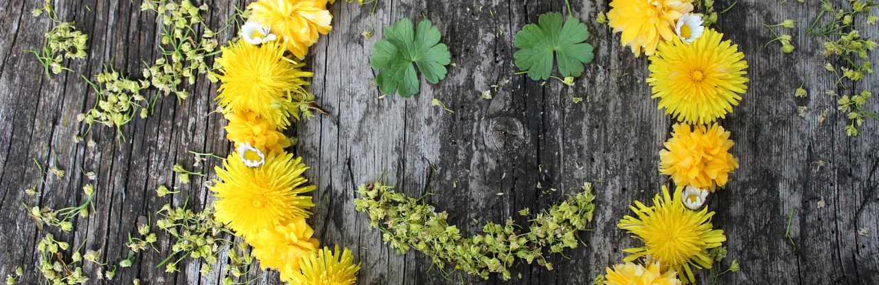 A smiling face is shown on the picture of the start page. It is composed of many yellow and white flowers, the eyes and the mouth are made of leaves. The picture is laid out on the bark of a tree and looks a bit like a smiling sun.