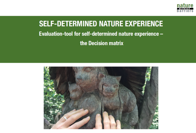 The cover of the brochure shows a picture of two hands feeling a wooden cat sculpture.