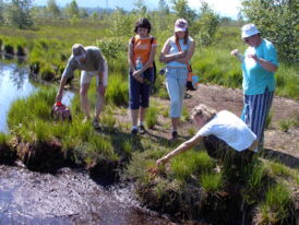 The picture shows a moorland hike at lake Chiemsee