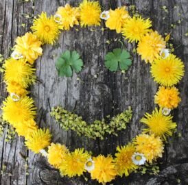 A smiling face is shown on the picture of the start page. It is composed of many yellow and white flowers, the eyes and the mouth are made of leaves. The picture is laid out on the bark of a tree and looks a bit like a smiling sun.